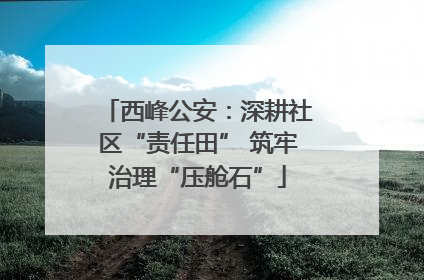 西峰公安：深耕社区“责任田” 筑牢治理“压舱石”