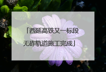 西延高铁又一标段无砟轨道施工完成