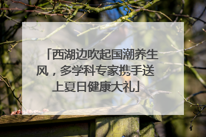 西湖边吹起国潮养生风，多学科专家携手送上夏日健康大礼