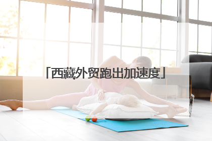 西藏外贸跑出加速度