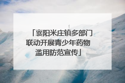 襄阳米庄镇多部门联动开展青少年药物滥用防范宣传