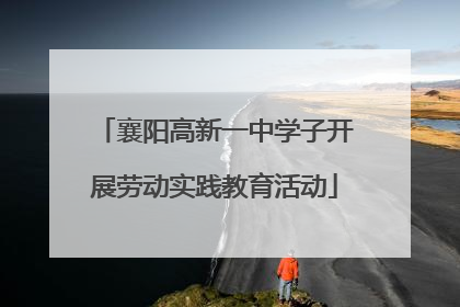 襄阳高新一中学子开展劳动实践教育活动