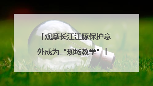 观摩长江江豚保护意外成为“现场教学”