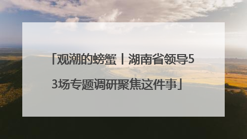 观潮的螃蟹丨湖南省领导53场专题调研聚焦这件事