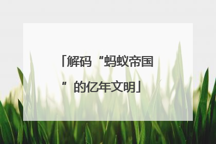 解码“蚂蚁帝国”的亿年文明
