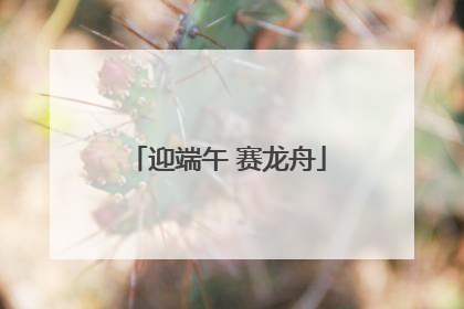 迎端午 赛龙舟