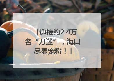 迎接约2.4万名“刀迷”，海口尽显宠粉！