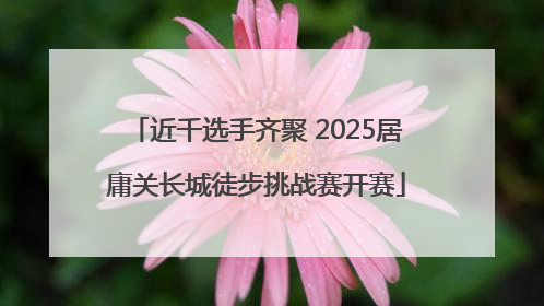 近千选手齐聚 2025居庸关长城徒步挑战赛开赛