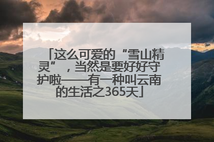 这么可爱的“雪山精灵”，当然是要好好守护啦——有一种叫云南的生活之365天