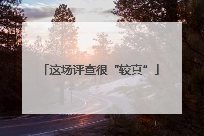 这场评查很“较真”