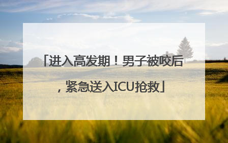 进入高发期！男子被咬后，紧急送入ICU抢救