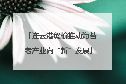 连云港赣榆推动海苔老产业向“新”发展