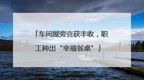 车间屋旁喜获丰收，职工种出“幸福餐桌”