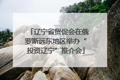 辽宁省贸促会在俄罗斯远东地区举办“投资辽宁”推介会
