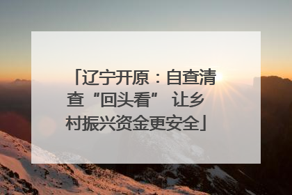 辽宁开原：自查清查“回头看” 让乡村振兴资金更安全