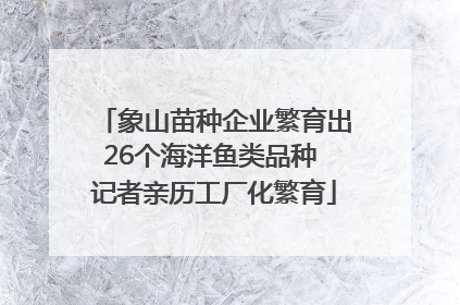 象山苗种企业繁育出26个海洋鱼类品种 记者亲历工厂化繁育