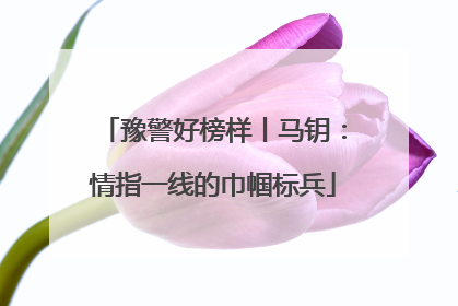 豫警好榜样丨马钥：情指一线的巾帼标兵