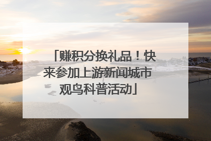 赚积分换礼品！快来参加上游新闻城市观鸟科普活动