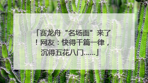 赛龙舟“名场面”来了！网友：快得千篇一律，沉得五花八门……