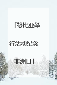 赞比亚举行活动纪念非洲日
