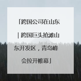 跨国公司在山东｜跨国巨头抢滩山东开发区，青岛峰会拉开帷幕