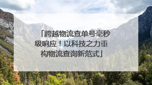 跨越物流查单号毫秒级响应！以科技之力重构物流查询新范式