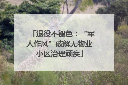 退役不褪色：“军人作风”破解无物业小区治理顽疾