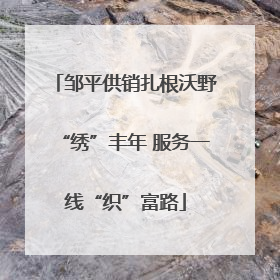 邹平供销扎根沃野“绣”丰年 服务一线“织”富路