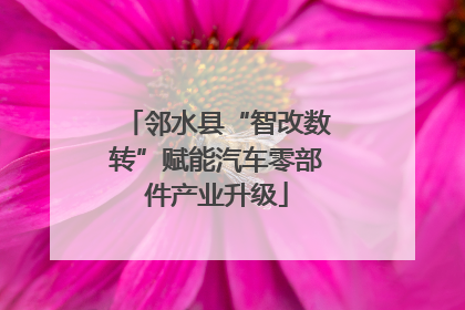 邻水县“智改数转”赋能汽车零部件产业升级