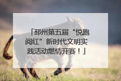 邳州第五届“悦跑阅红”新时代文明实践活动燃情开赛！