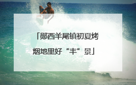 郧西羊尾镇初夏烤烟地里好“丰”景