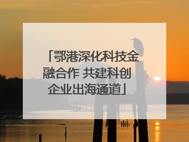 鄂港深化科技金融合作 共建科创企业出海通道