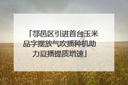 鄠邑区引进首台玉米品字摆放气吹播种机助力夏播提质增速
