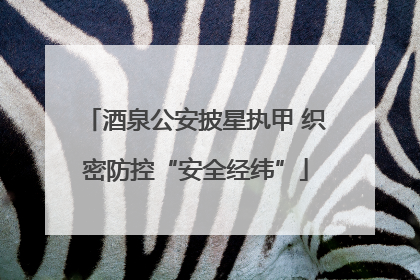 酒泉公安披星执甲 织密防控“安全经纬”