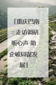重庆巴南：走访调研听心声 助企破局谋发展