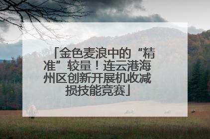 金色麦浪中的“精准”较量！连云港海州区创新开展机收减损技能竞赛