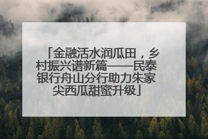 金融活水润瓜田，乡村振兴谱新篇——民泰银行舟山分行助力朱家尖西瓜甜蜜升级