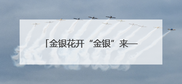 金银花开“金银”来——淄博市高青县常家镇共富路上“一路生花”