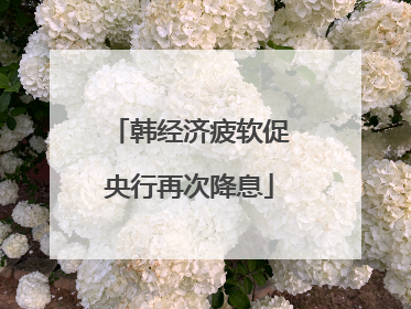 韩经济疲软促央行再次降息