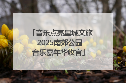 音乐点亮星城文旅 2025南郊公园音乐嘉年华收官