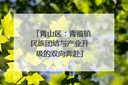 青山区：青福镇民族团结与产业升级的双向奔赴