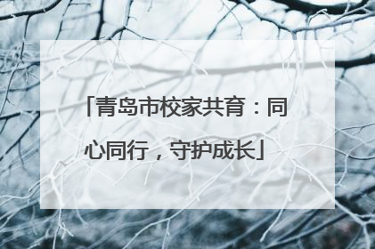 青岛市校家共育：同心同行，守护成长