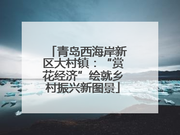 青岛西海岸新区大村镇：“赏花经济”绘就乡村振兴新图景