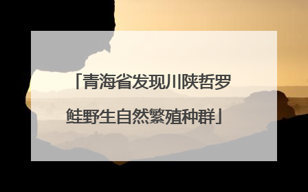 青海省发现川陕哲罗鲑野生自然繁殖种群