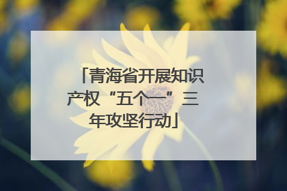 青海省开展知识产权“五个一”三年攻坚行动