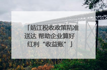 靖江税收政策精准送达 帮助企业算好红利“收益账”