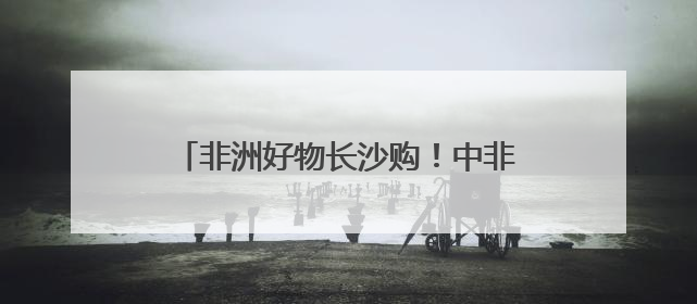 非洲好物长沙购！中非经贸总部基地对外开放