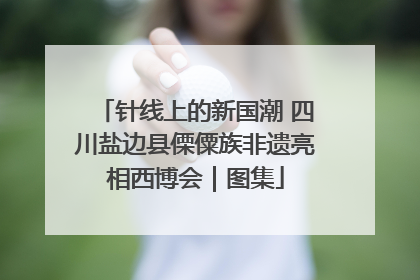 针线上的新国潮 四川盐边县傈僳族非遗亮相西博会｜图集