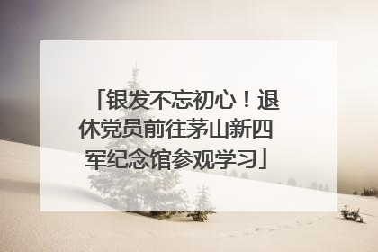 银发不忘初心！退休党员前往茅山新四军纪念馆参观学习