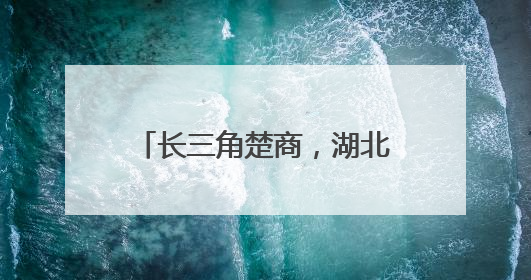 长三角楚商，湖北喊你回家乡投资！